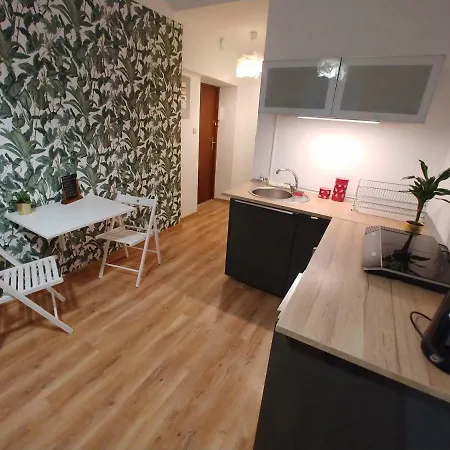 Chrzanowskiego 45 Apartment *